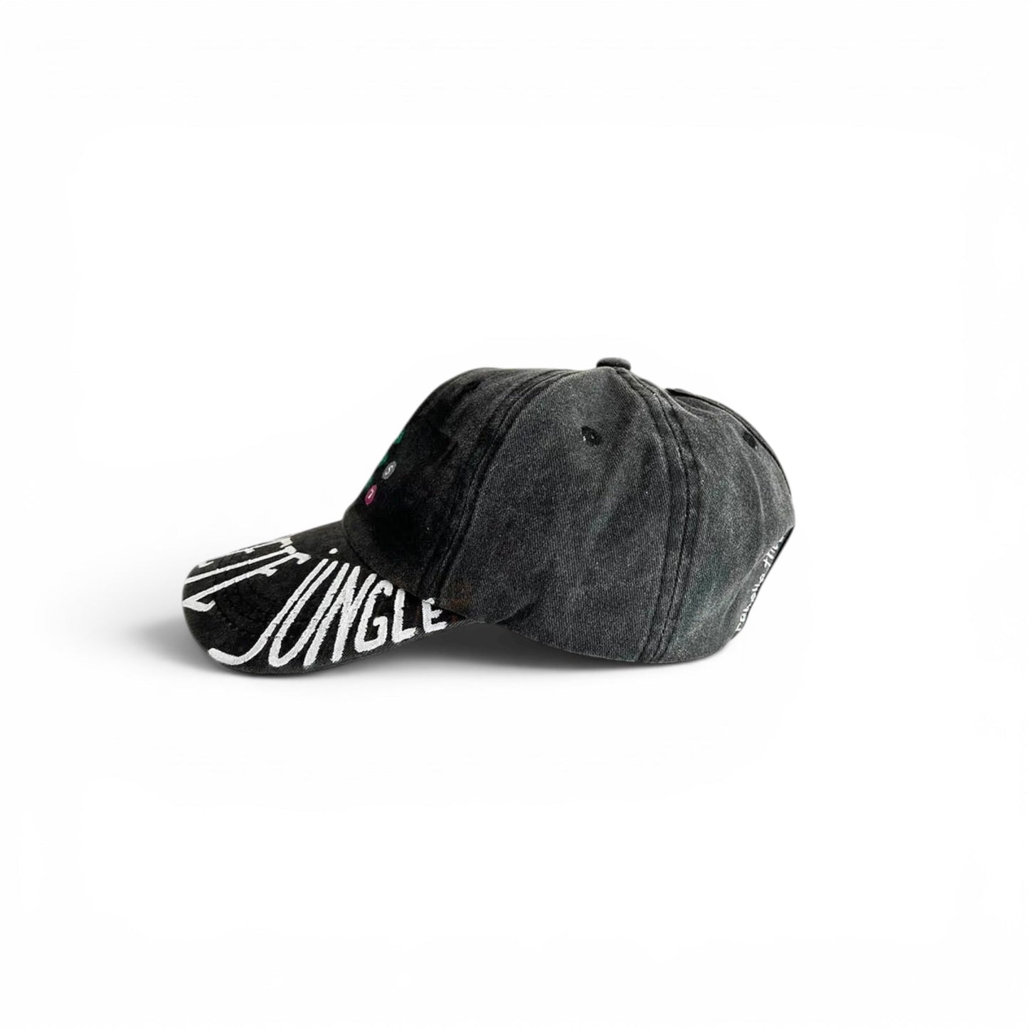 New York Painted Cap Rebelle Theory